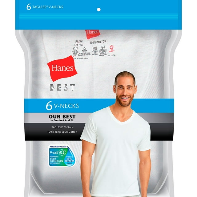 Hanes Men's 6-Pack Best V-Neck T-Shirt