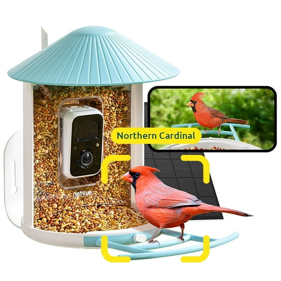 Birdfy Standard Smart Bird Feeder