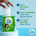thumbnail image 4 of Puffs Plus Lotion 2-Ply Facial Tissues 12 Cube Boxes, 72 tissues/box, 4 of 11