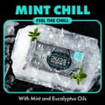 thumbnail image 5 of DUDE WIPES XL Flushable Wipes, Mint Chill, 8 ct., 400 wipes, 5 of 7
