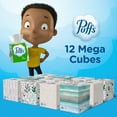 thumbnail image 3 of Puffs Plus Lotion 2-Ply Facial Tissues 12 Cube Boxes, 72 tissues/box, 3 of 11